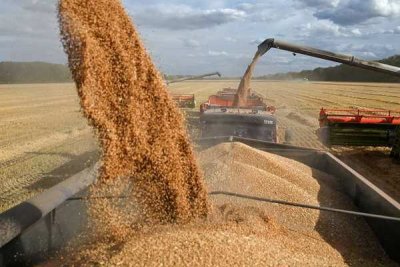 В Евросоюзе выступают против импорта российского зерна