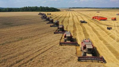 Новые меры поддержки российских аграриев