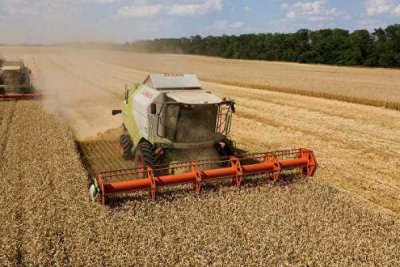 Россия перестанет продавать пшеницу до июля текущего года