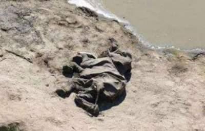 Мистика: сотни мертвых слонов в Ботсване