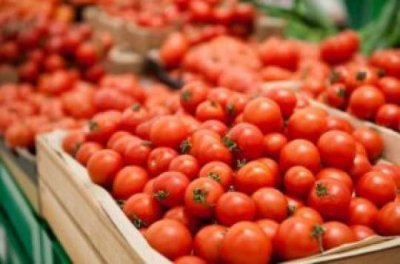 Россия запрещает ввоз азербайджанских помидоров