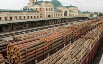 В России наблюдается дефицит древесины для строительства