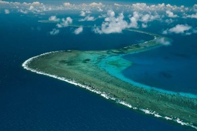 ЮНЕСКО хочет внести Большой Барьерный риф в список «находящихся в опасности»