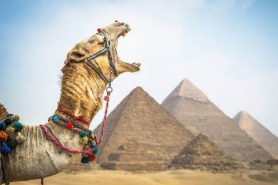 Эксперты оценили сроки восстановления туристического потока в Египет
