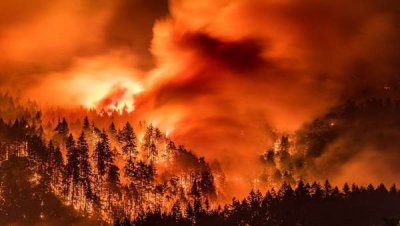 Исследователи заявляют о влиянии глобального потепления на возникновение разрушительных лесных пожаров