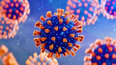 На долю «Омикрона» приходится девяносто пять процентов случаев заражения коронавирусом в России