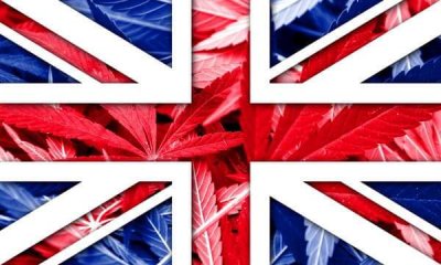 Британцы могут лишиться паспорта из-за употребления наркотических средств