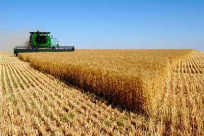 Россия обещает нарастить экспорт зерна в развивающиеся страны