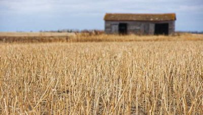 Россия предупредила, что может выйти из зерновой сделки
