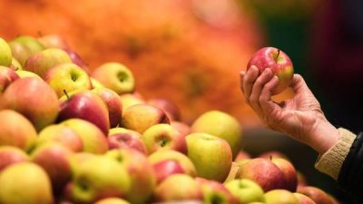 Польша сообщила о «рухнувшем» рынке яблок