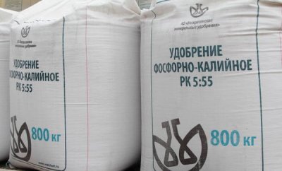 Кремль прокомментировал перспективы зерновой сделки