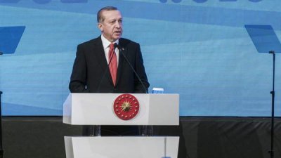 Эрдоган обратился к Западу по поводу зерновой сделки