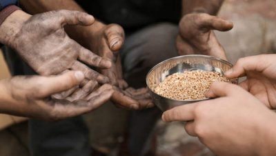 Африка почти ничего не получила от зерновой сделки – президент