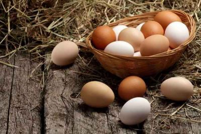 Росптицесоюз: яйца в РФ являются одними из самых дешевых
