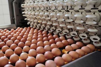 Яйца перестали приносить доход торговым сетям