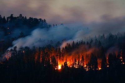 Страна страдает от сезонных пожаров