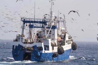 Экологическая катастрофа вызывает недостаток лосося в мире