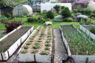 Правительство собирается регламентировать использование садовых участков