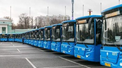 В России за 5 лет помолодел парк автобусов