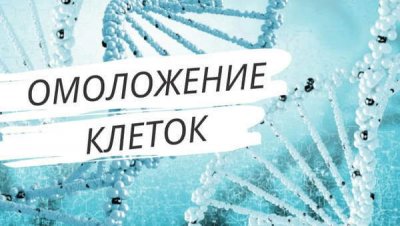 Прорыв в науке: Россия на пути к омоложению клеток