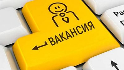 Ветеранам СВО откроют двери на работу без собеседований: новые правила для пяти регионов России