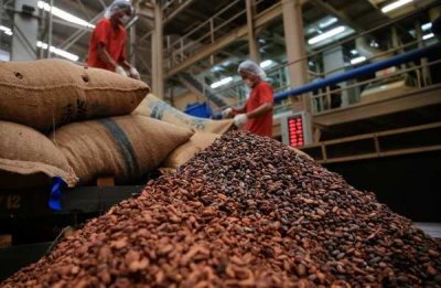 Nestlé внедряет революционную технологию переработки отходов какао-бобов