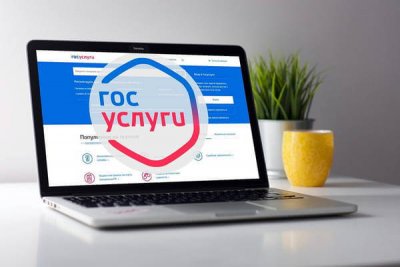 Власти запускают массовую проверку телефонов, привязанных к «Госуслугам»