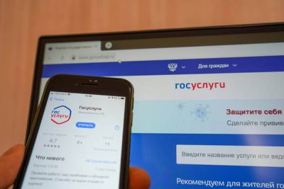 Массовая волна фальшивых долгов на «Госуслугах»