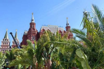 Москва на пороге тропиков: Гидрометцентр России предупредил о радикальных климатических изменениях