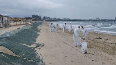 Новые выбросы мазута на пляжах Анапы: экологи бьют тревогу после остановки очистных работ