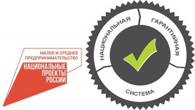 Малый и средний бизнес Дальнего Востока наращивает обороты: объём привлечённых средств превысил 50 млрд. рублей